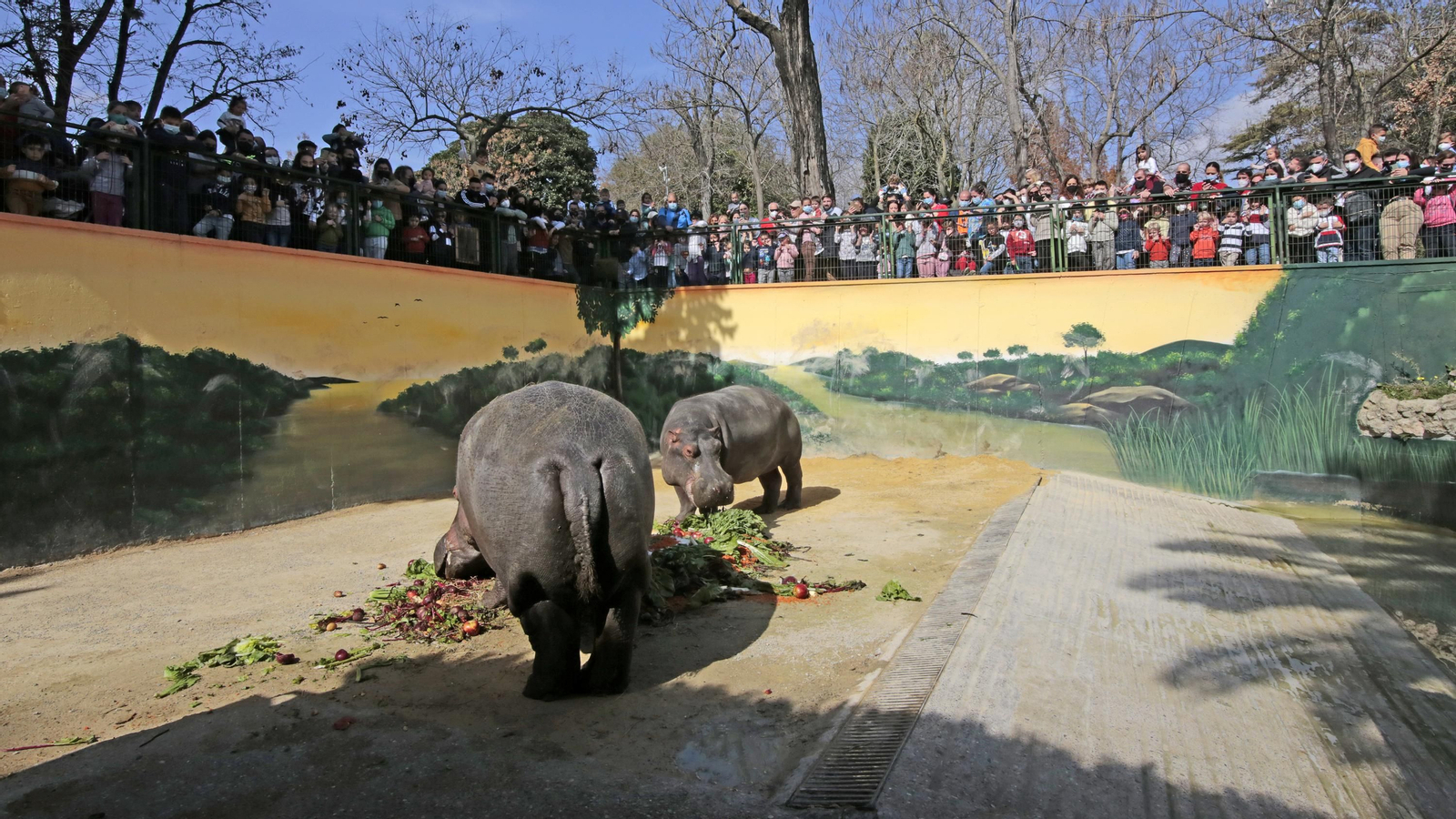 69 aniversario del Zoo de Jerez