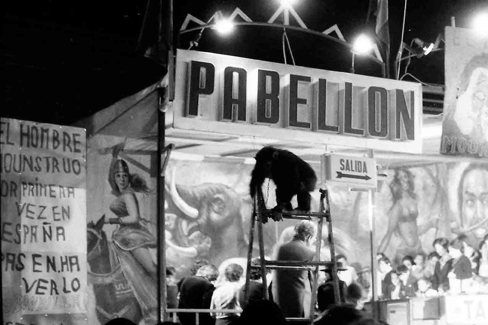 La Feria de los 70: Cosas de la tarde