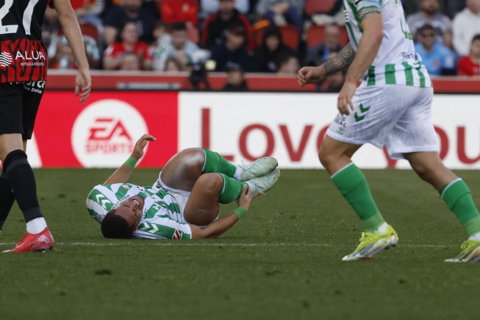 Las fotos del Mallorca - Betis