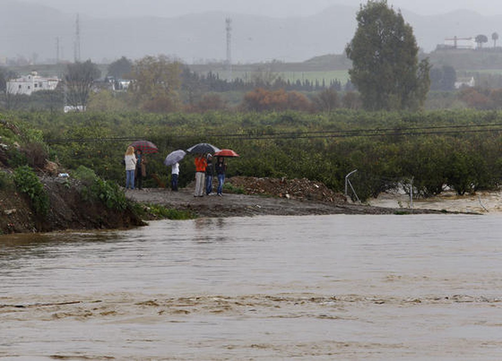 El río Guadalhorce a su paso por Cártama.

Foto: Migue Fernández, Sergio Camacho, Agencias