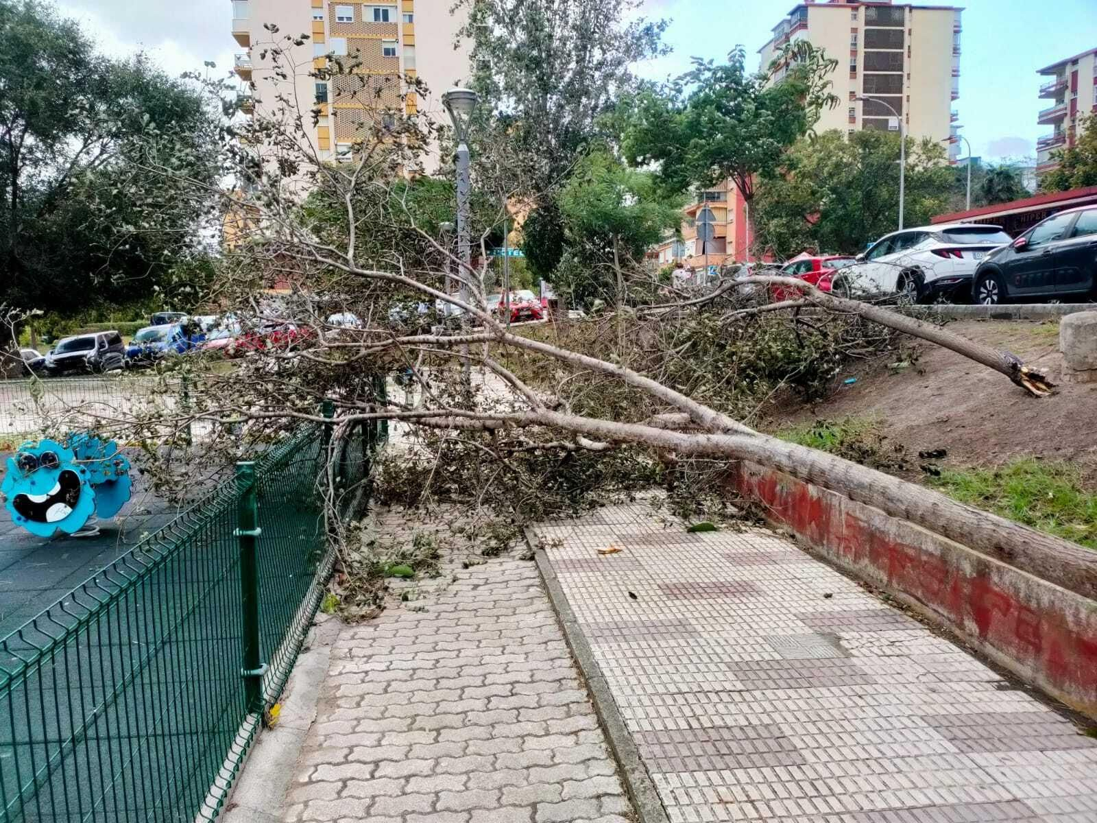 El paso de la borrasca Aline por Algeciras, en imágenes