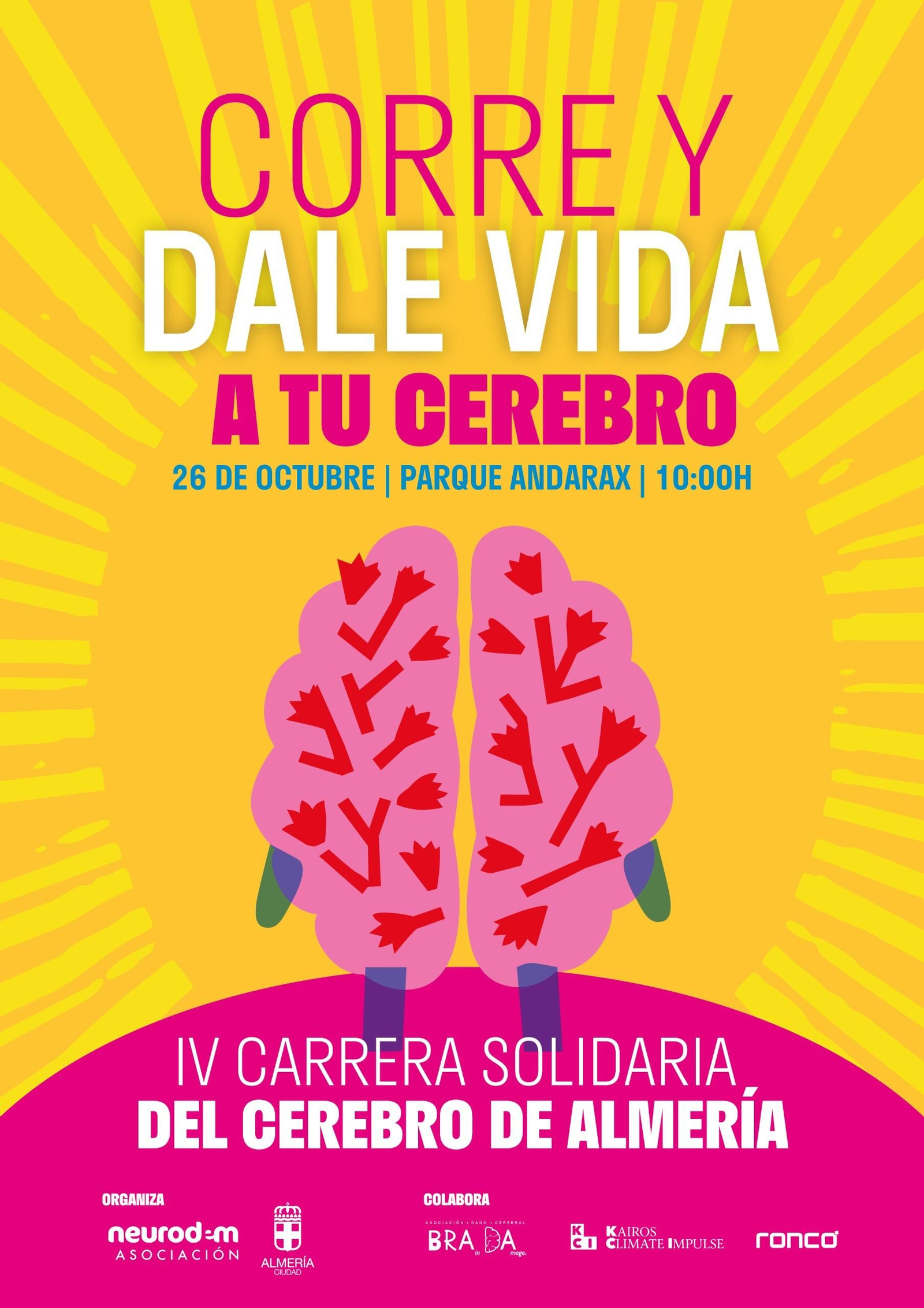 Cartel oficial de esta IV Carrera Solidaria del Cerebro.