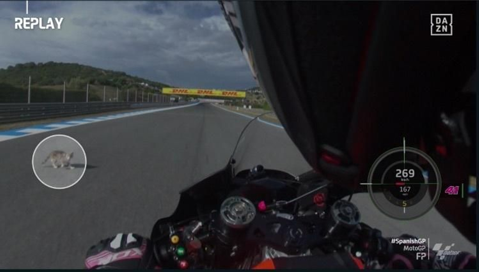 El momento en el que un gato se ha cruzado ante Aleix.