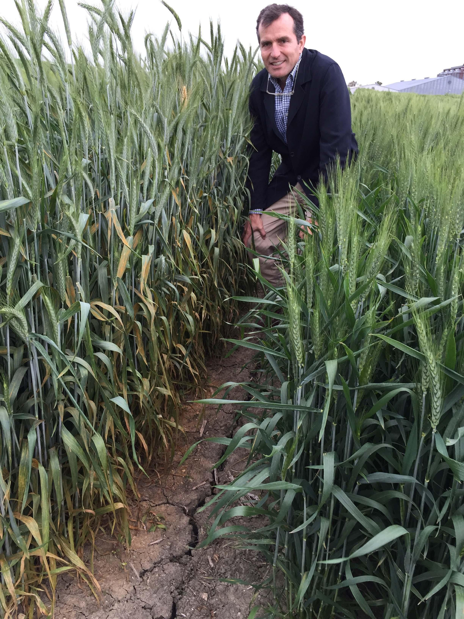 "La agricultura integrada produce alimentos tan sanos como los ecológicos"