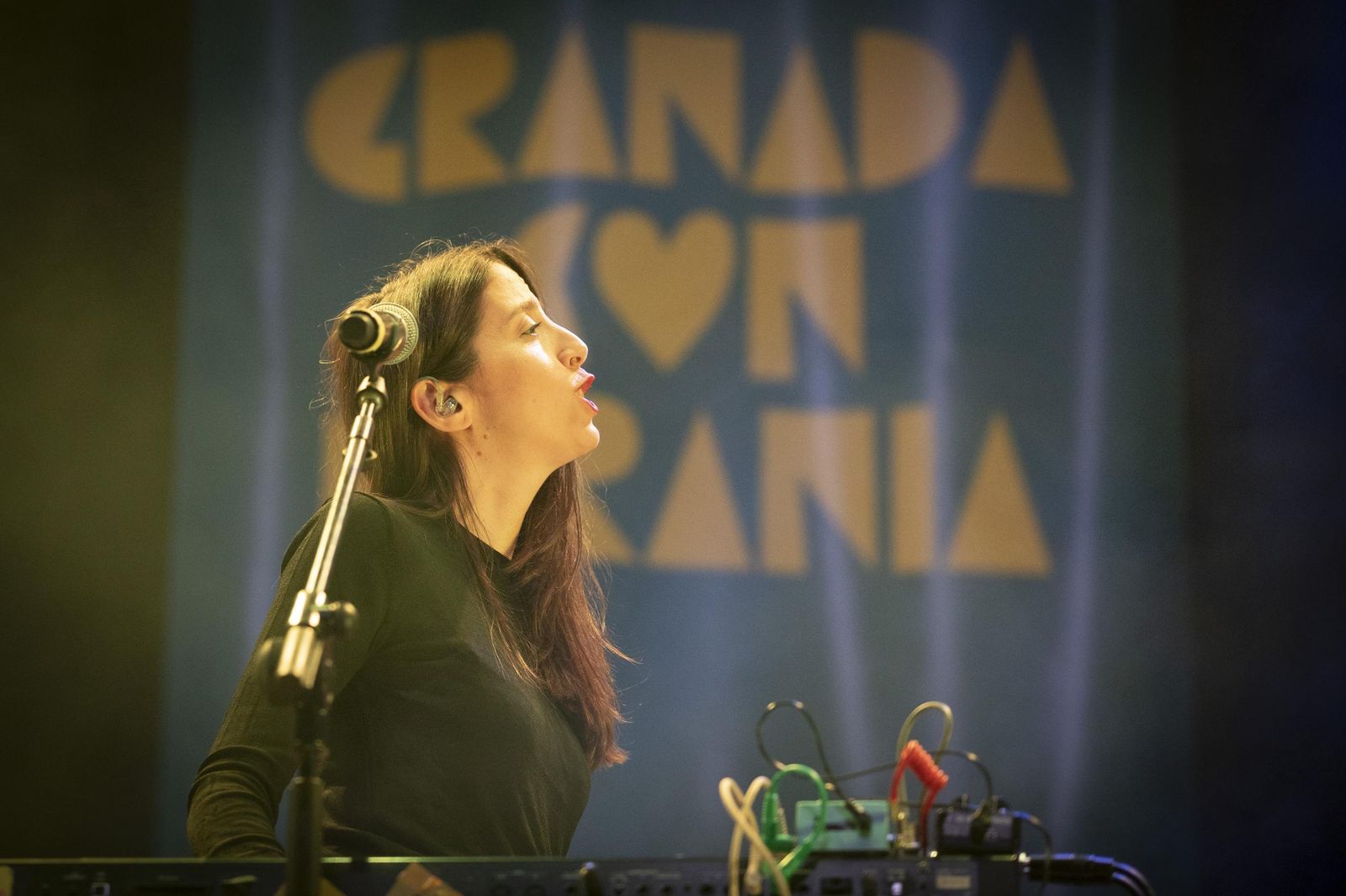 El concierto solidario de Granada por Ucrania, en imágenes