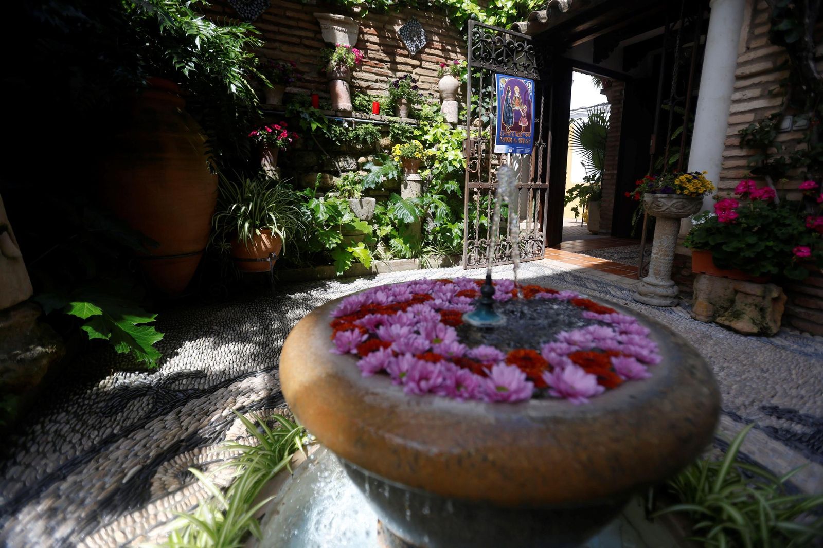 Los Patios de Córdoba que abren este Viernes Santo, en imágenes