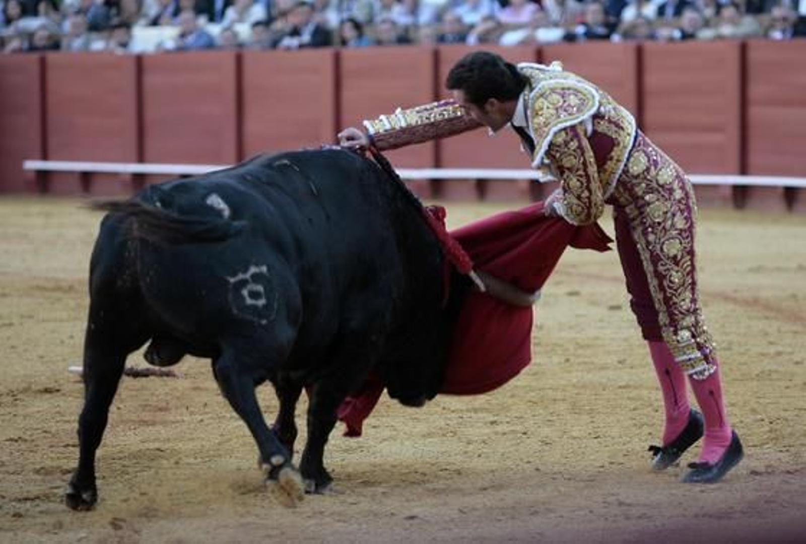 Foto: Juan Carlos Muñoz