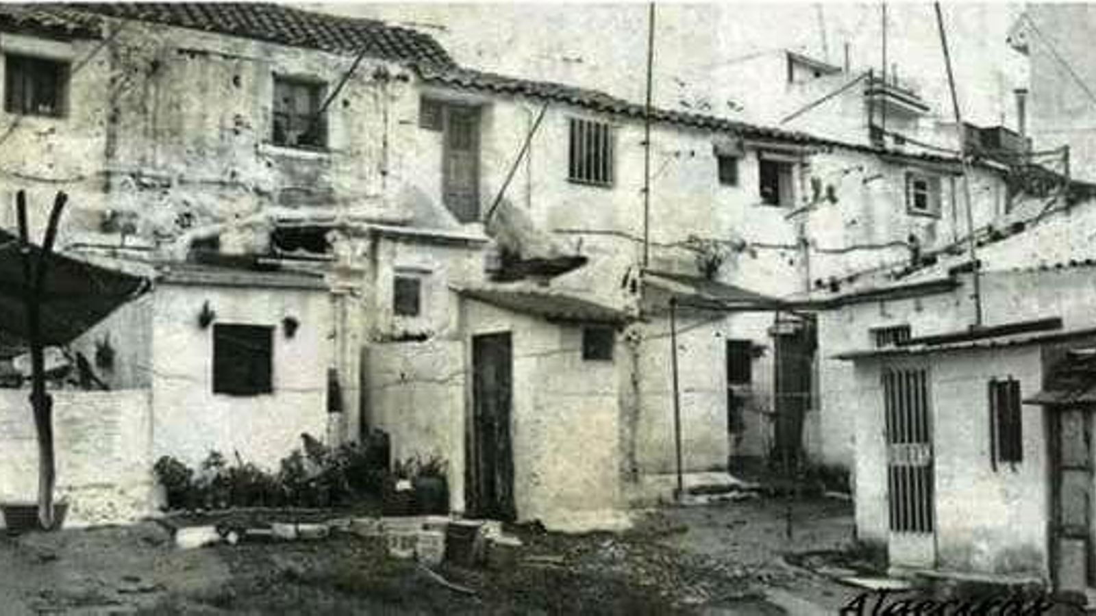 El Patio El Loro en el Secano.