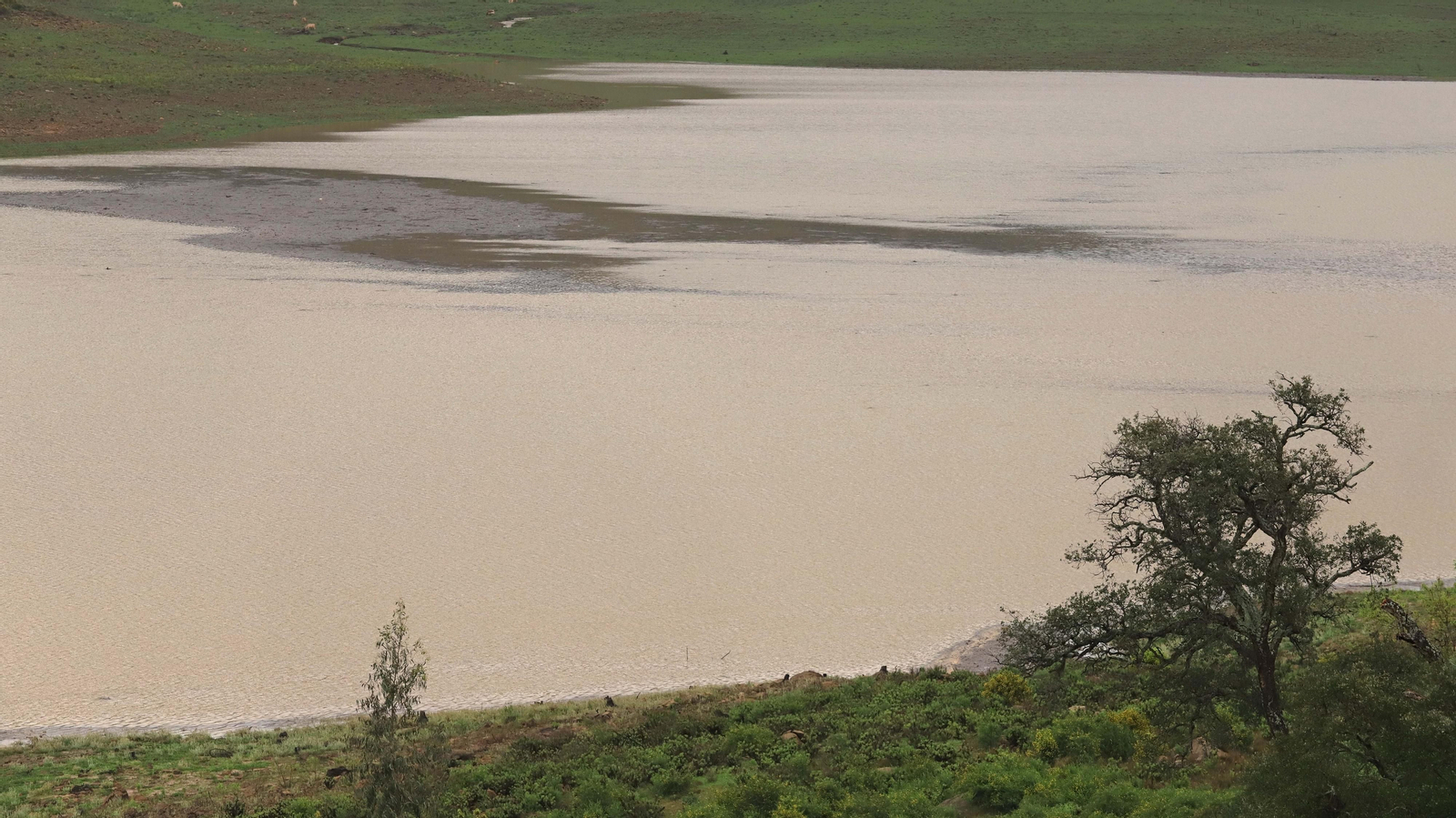 Fotos del pantano de Charco Redondo