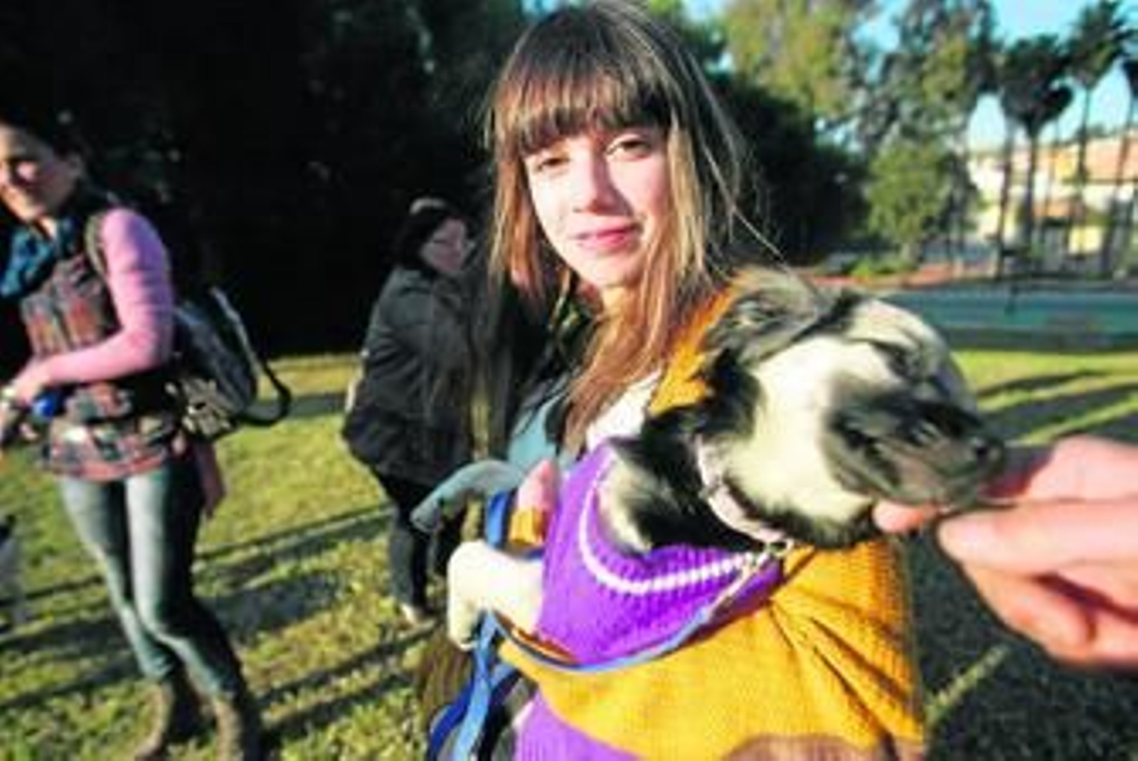 Una voluntaria de Huellas Gaditanas sostiene a uno de los perros que tiene la asociación en acogida,