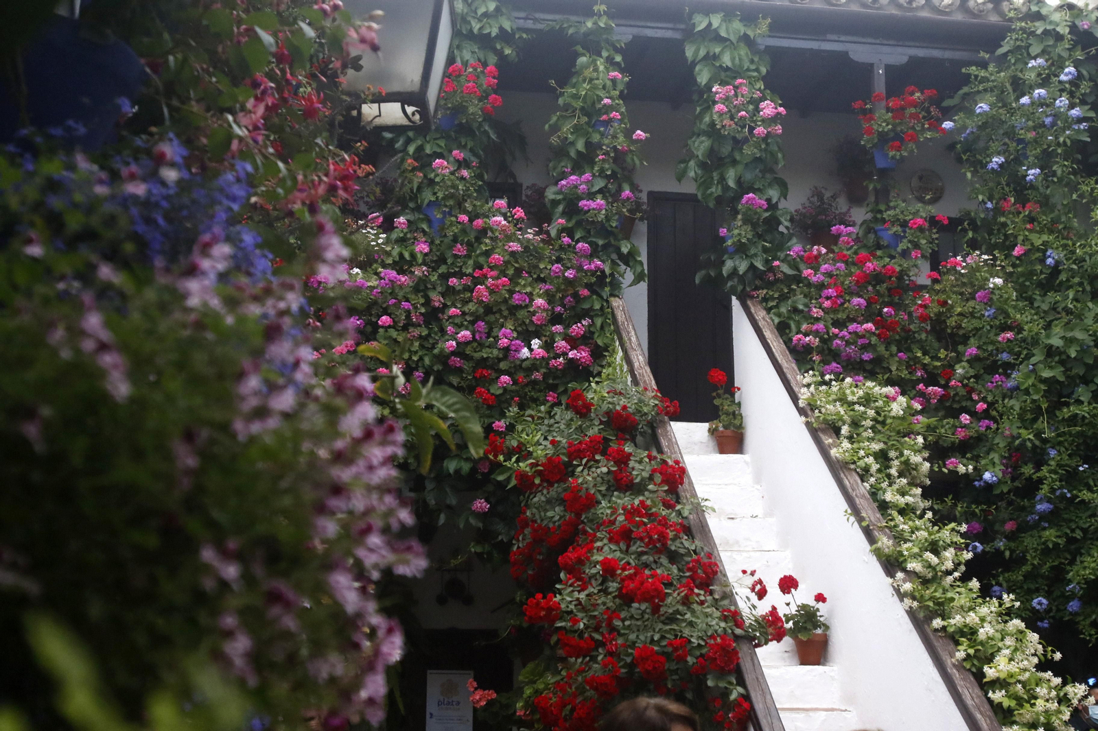 Patio de San Basilio, 44