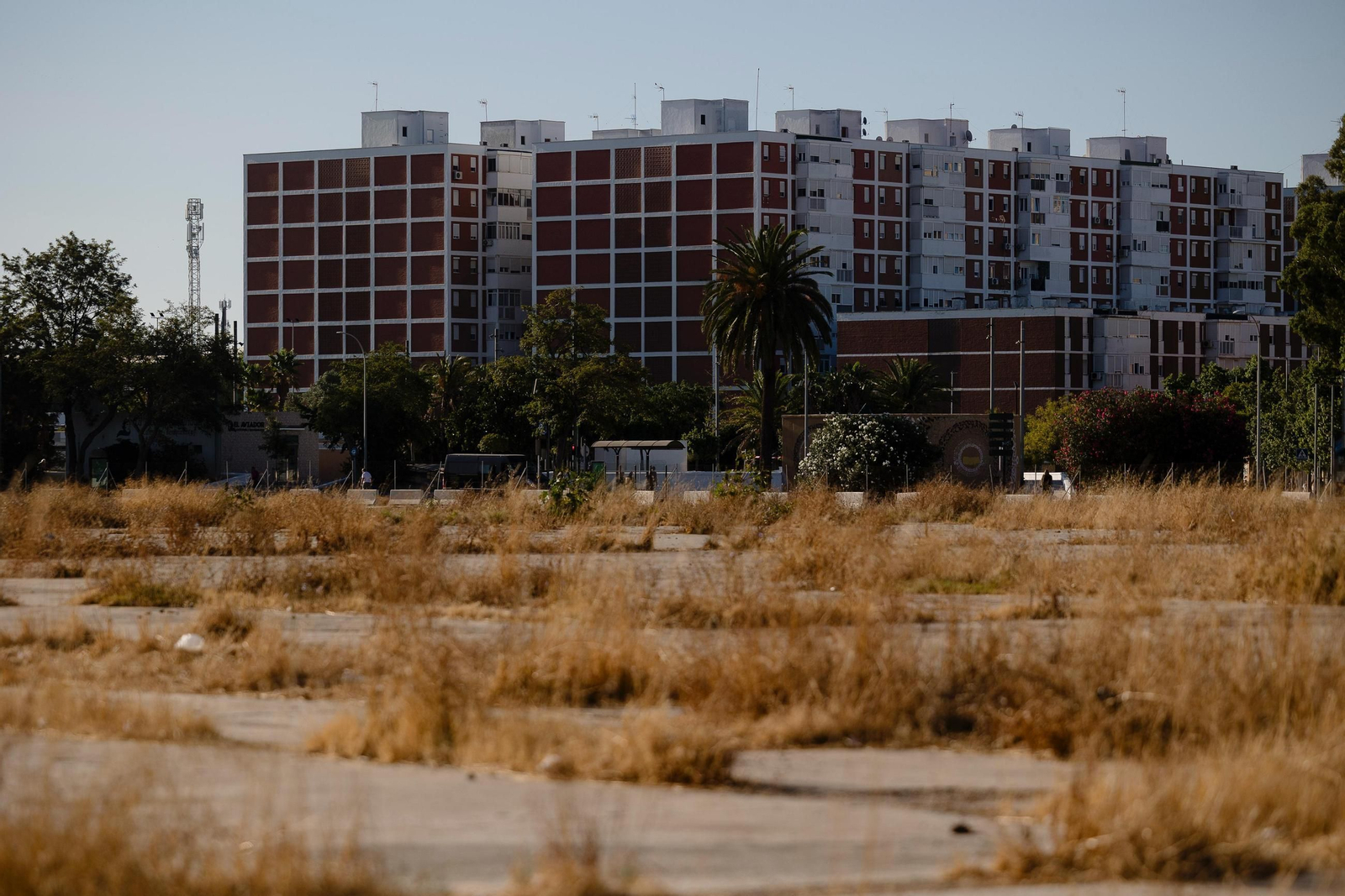 Solar donde debe ir el nuevo Hospital de Cádiz.