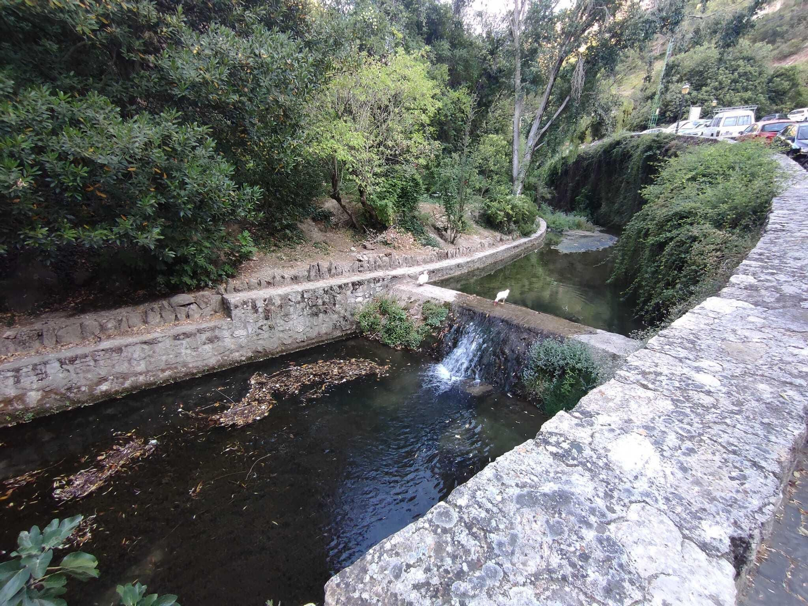 Justo antes de llegar al inicio verás una zona más amplia de río habitada por patos y ocas. Justo antes de llegar al inicio verás una zona más amplia de río habitada por patos y ocas.