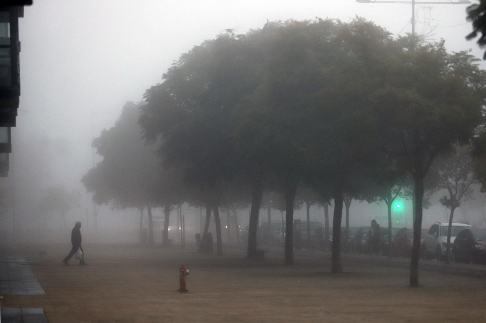 Imágenes de la mañana de niebla en Huelva