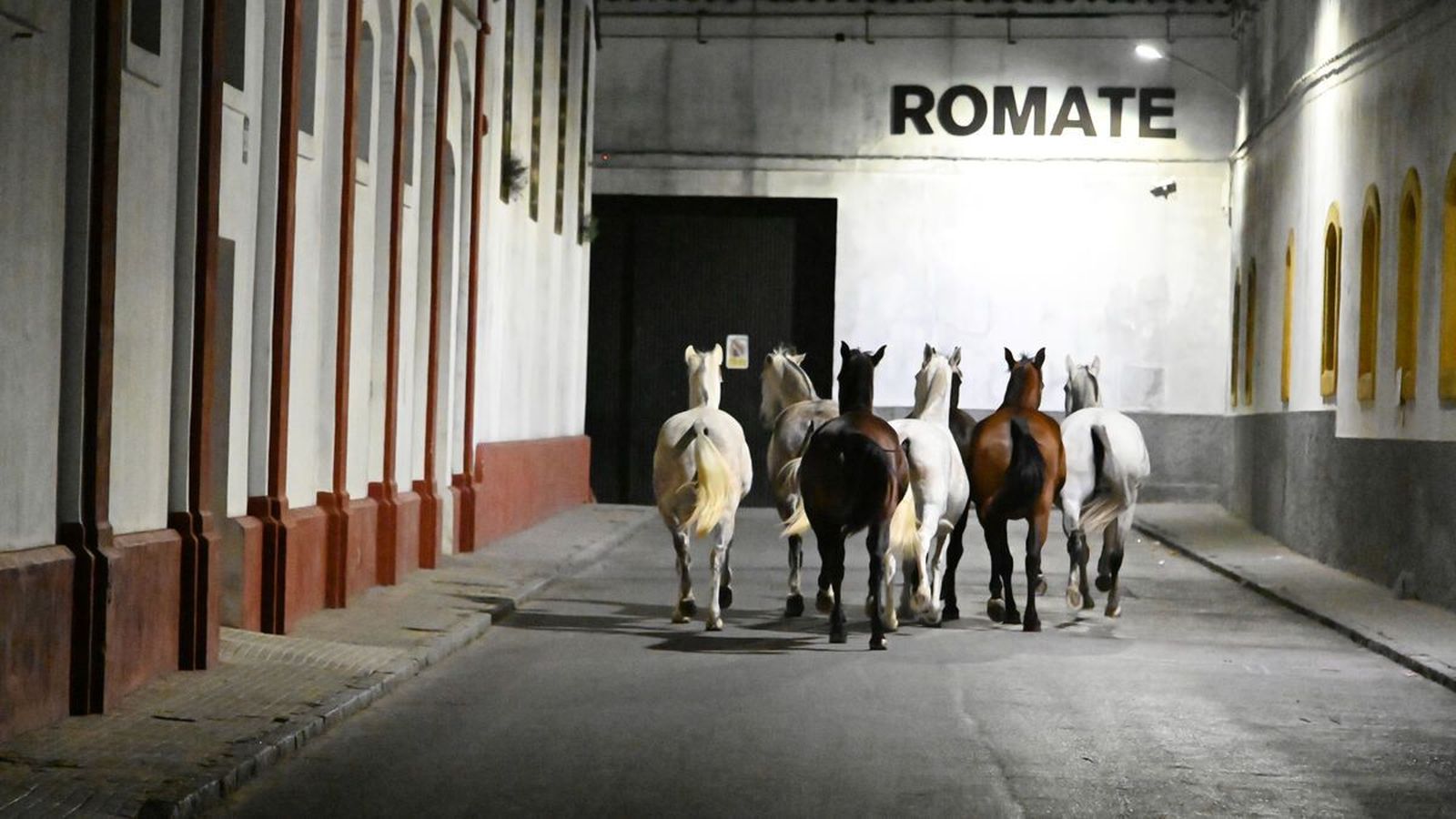 'Siete Jereles', de Pedro G. Romero, Gonzalo García Pelayo.