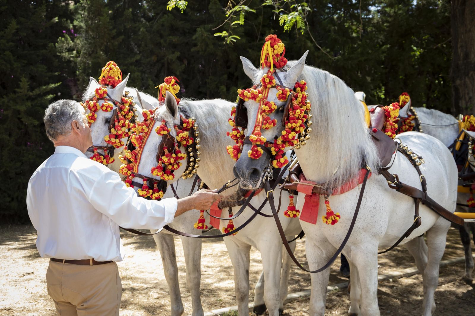 Final del concurso de Doma Vaquera 2023 en el Depósito de Sementales