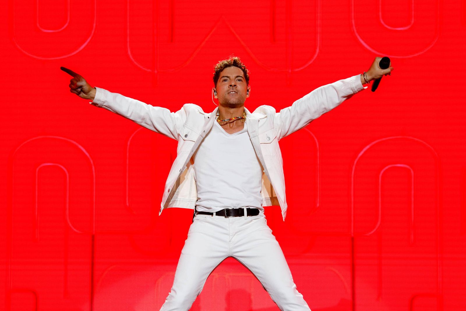 El concierto de David Bisbal, en imágenes