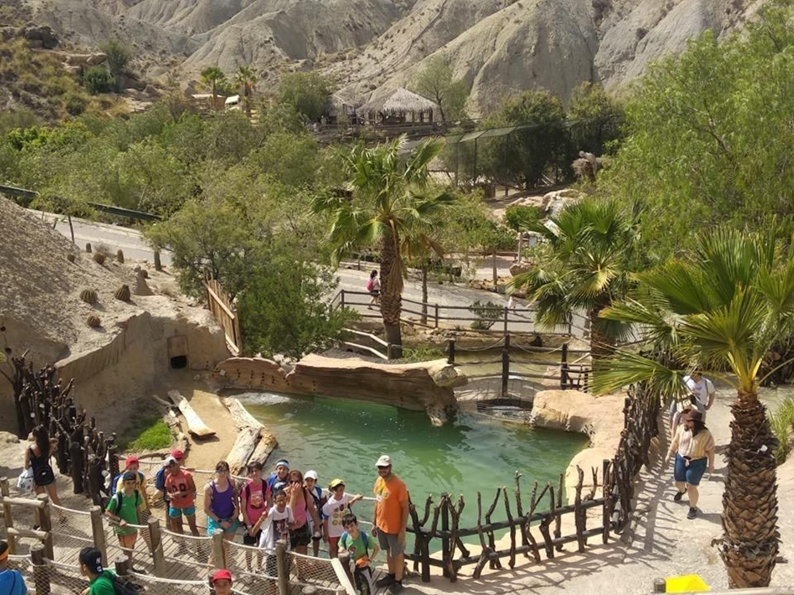 65199991_1384839471671836_596561298032951296_n