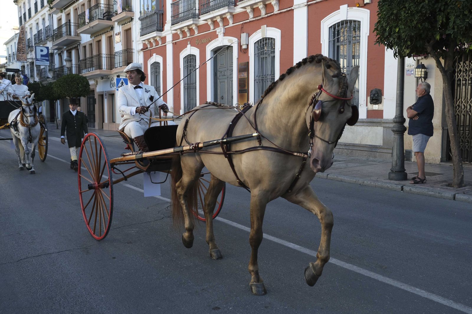 Concurso de enganches de Ronda, en fotos.