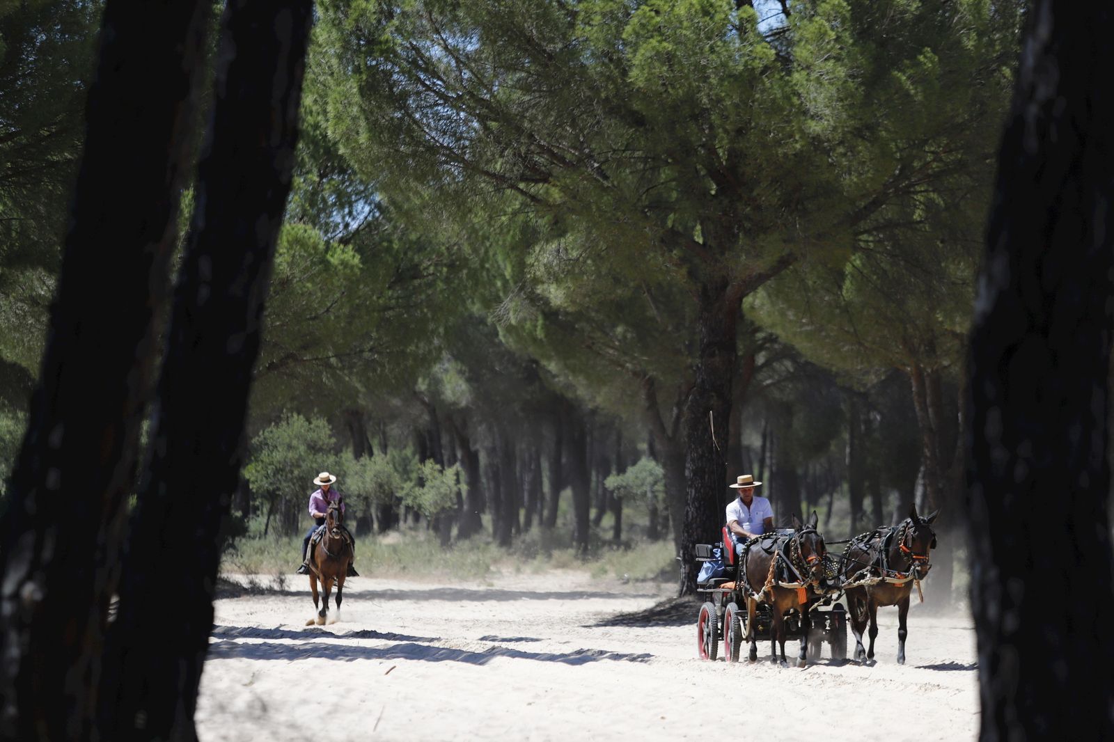 Todos los peregrinos de la Hermandad de Huelva, en imágenes