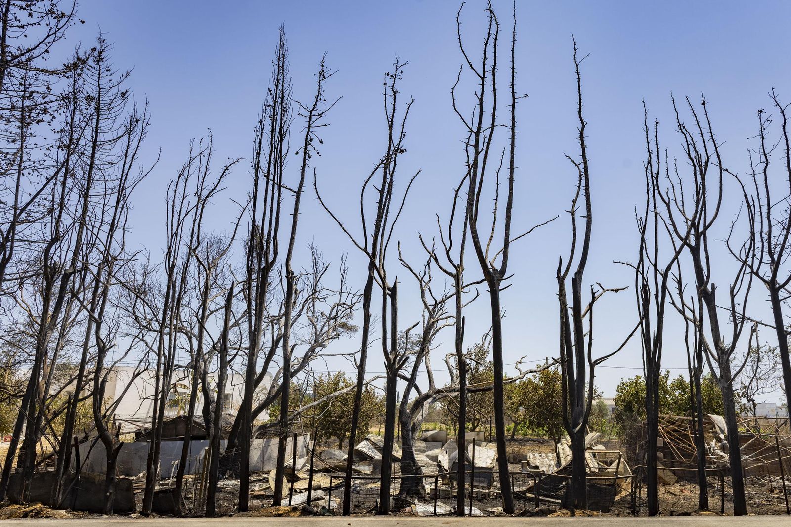 Las imágenes del incendio declarado junto a Roche, en Conil