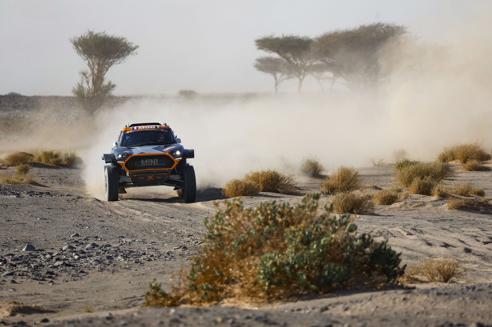 Las mejores fotos del Rally Dakar | Novena etapa