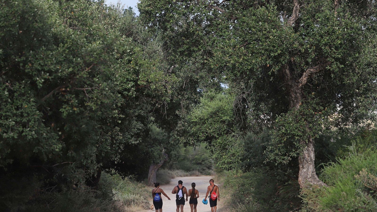 Camino que discurre por el sendero del Río de la Miel.