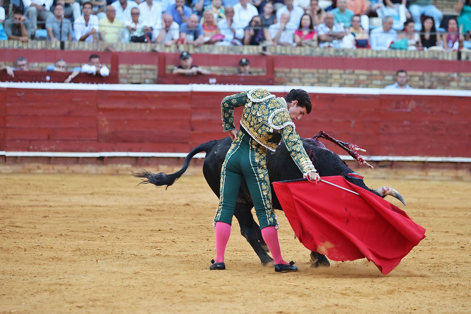 Toros La Merced 2024 Novillada con picadores(