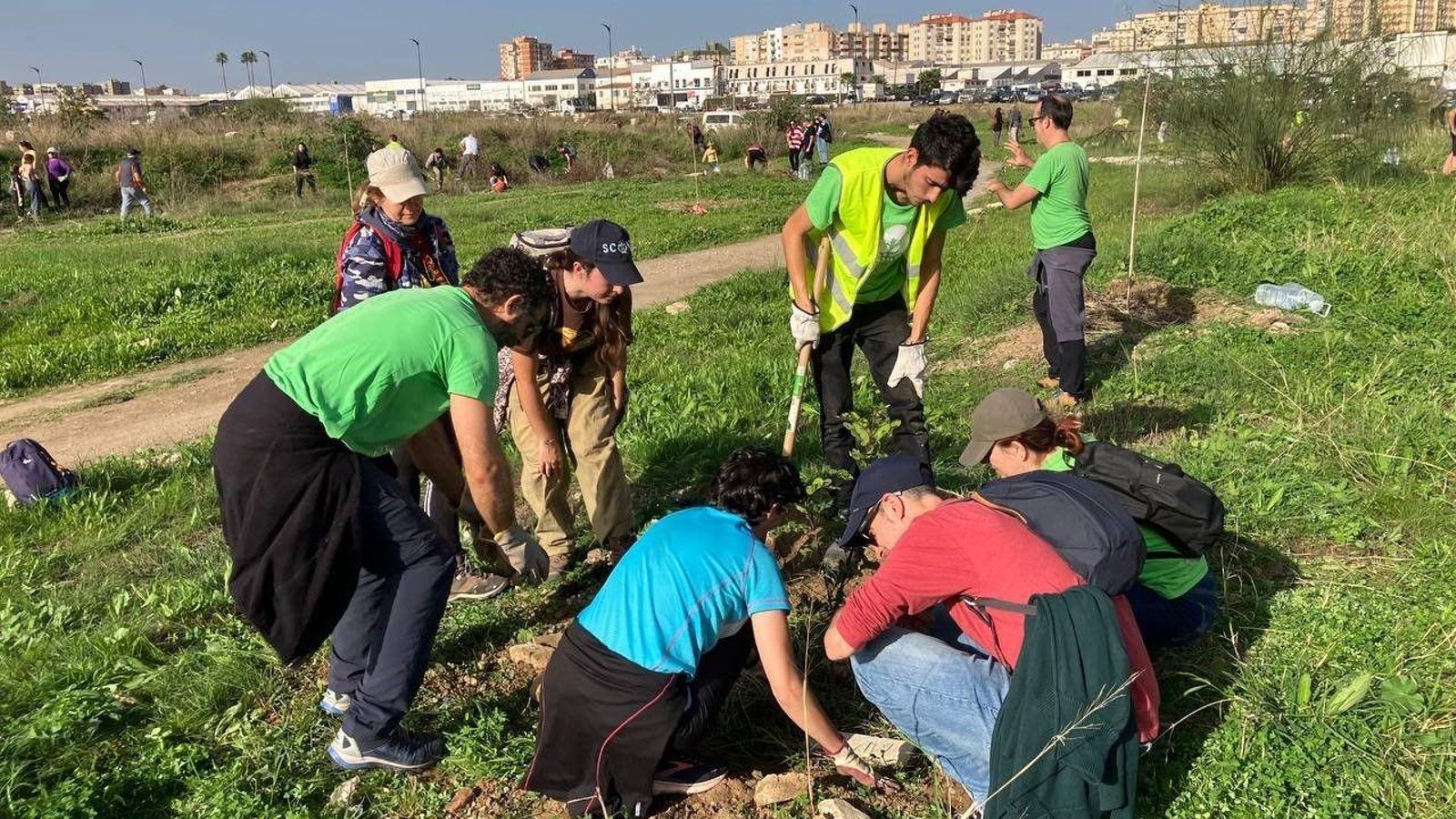 Voluntarios de la plataforma Bosque Urbano en la parcela de Repsol. Voluntarios de la plataforma Bosque Urbano en la parcela de Repsol.