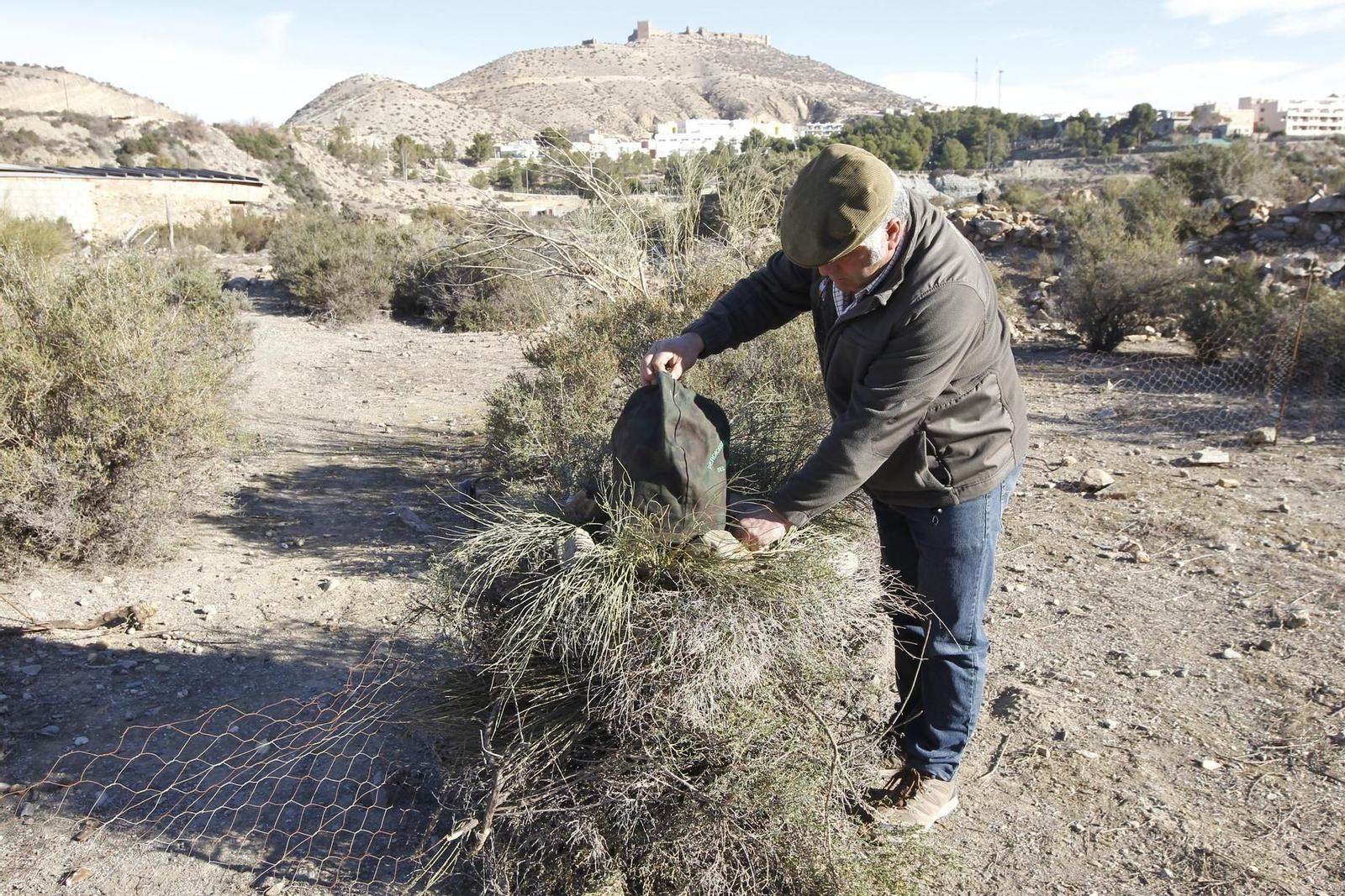 La modalidad de caza de perdiz con reclamo que en Almería practican unos 10.000 aficionados