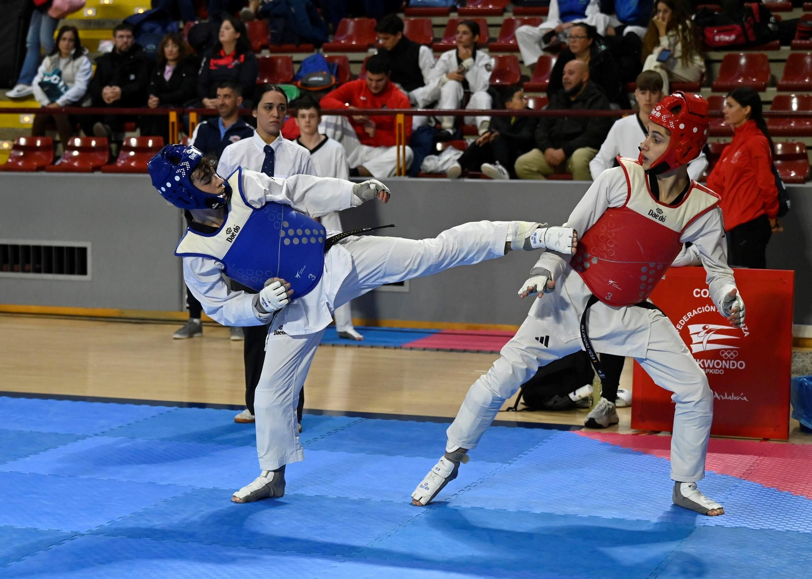 Las mejores fotos del Open Internacional de Andalucía de taekwondo en Córdoba