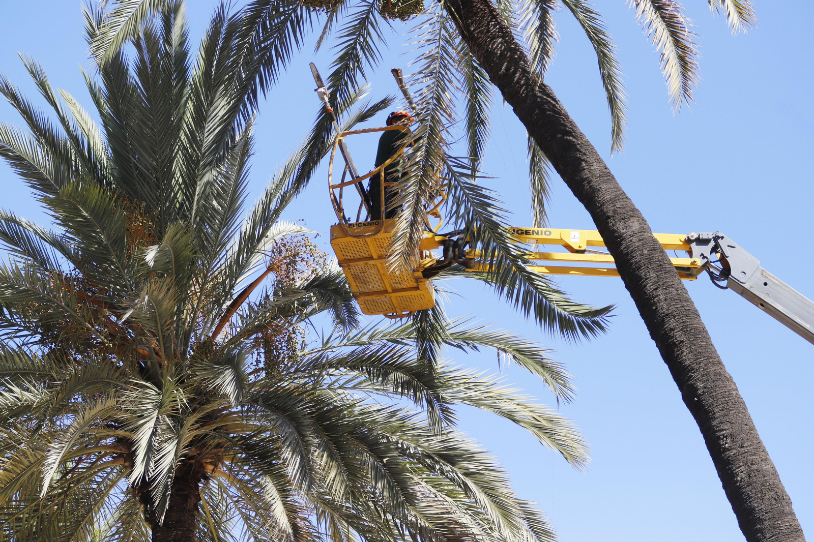 Imágenes del miércoles 26 de julio en Huelva