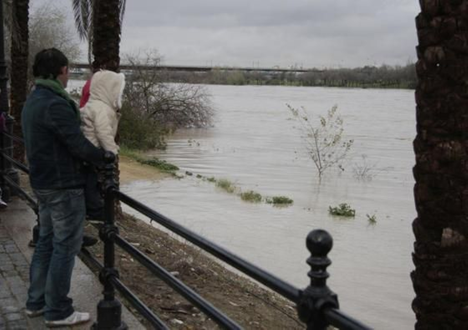 El río alcanza grandes niveles en San Juan de Aznalfarache.

Foto: Victoria Hidalgo