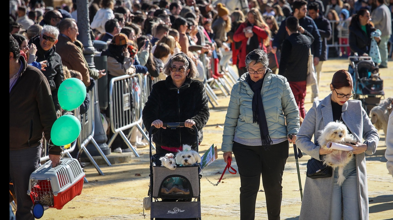 Búscate en San Antón de Jerez