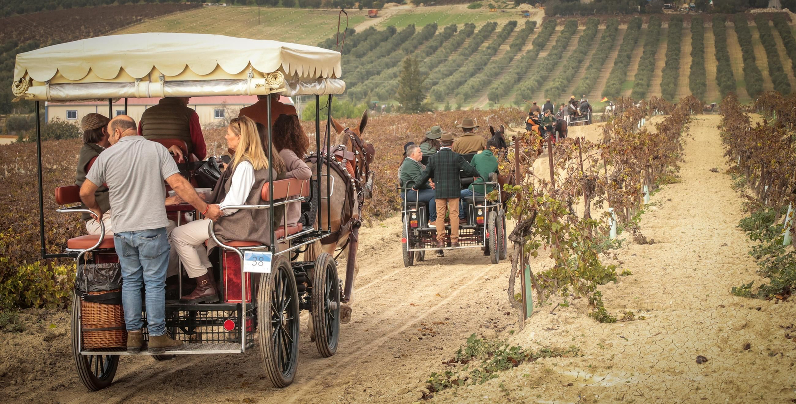 Búscate en la III Ruta Viñas de Jerez de Enganches