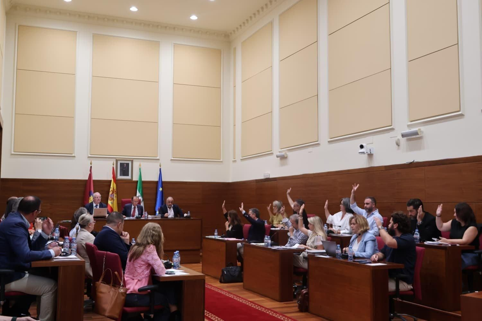 Un momento de la sesión plenaria.