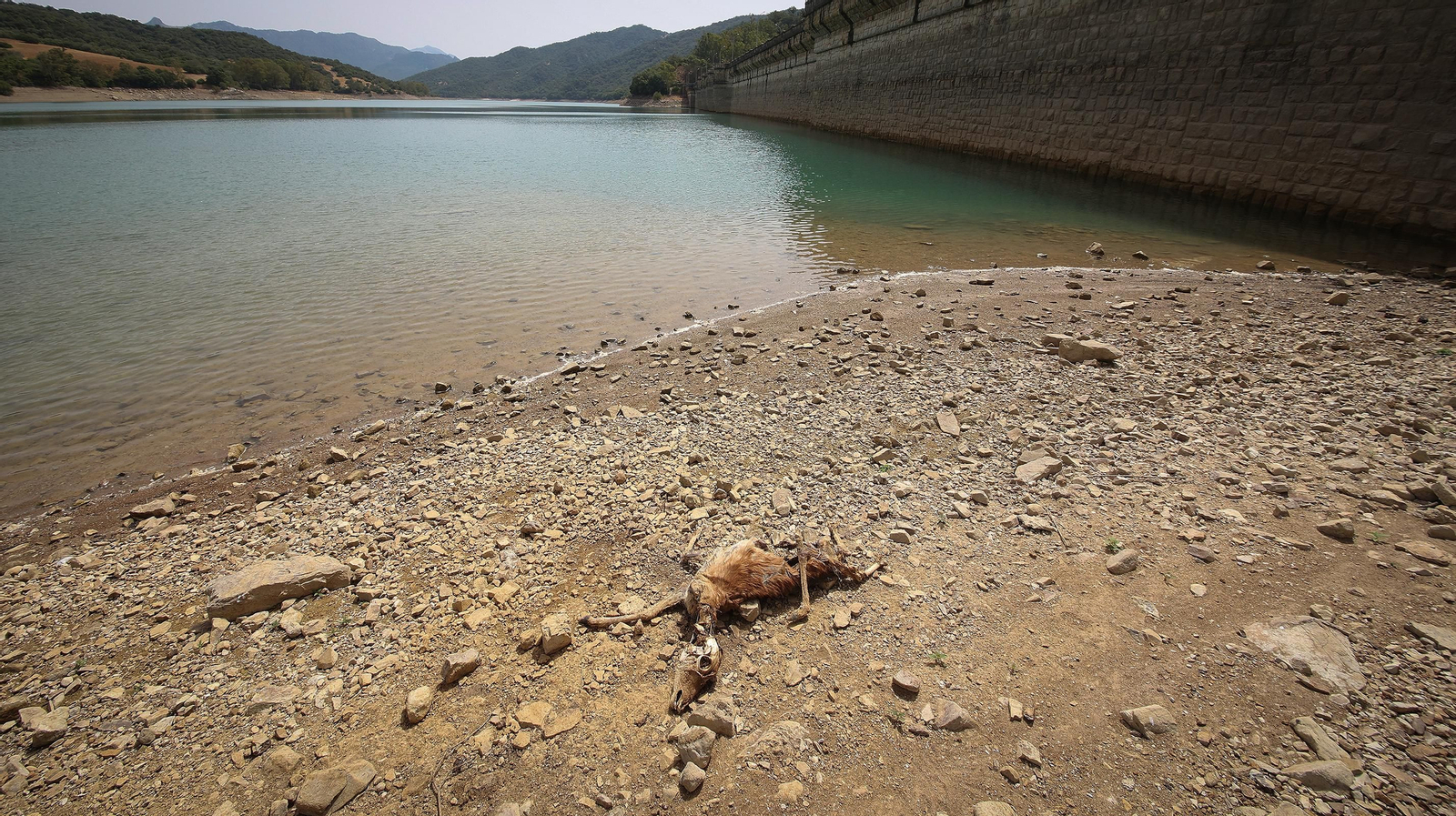 Así se encuentran algunos embalses de la provincia