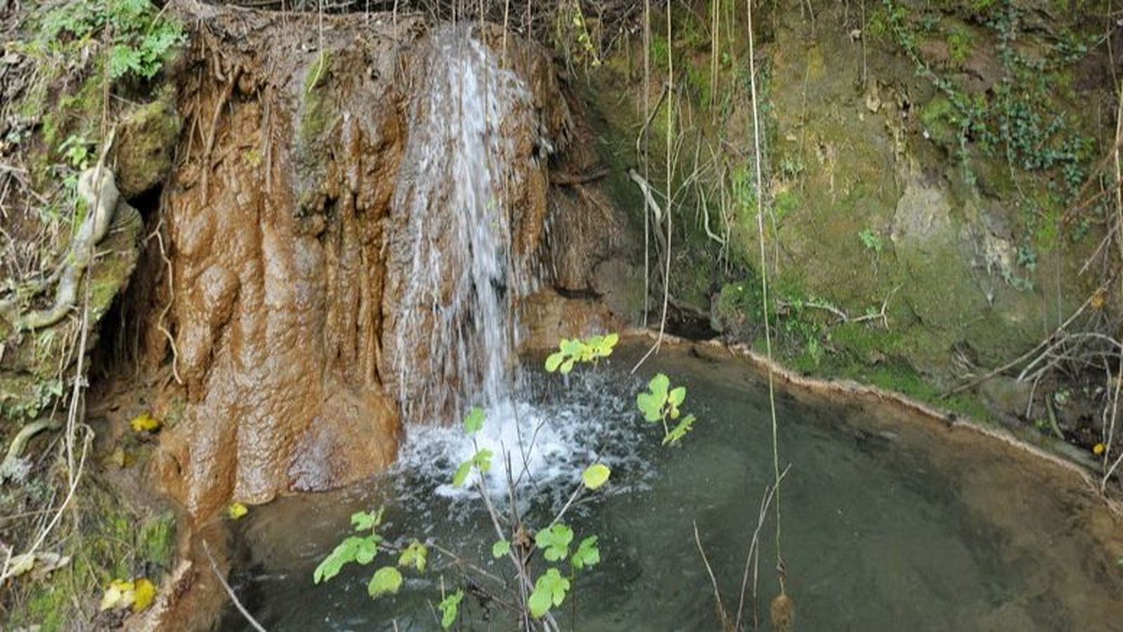 Imagen del Molino del Susto en Grazalema (Cádiz)