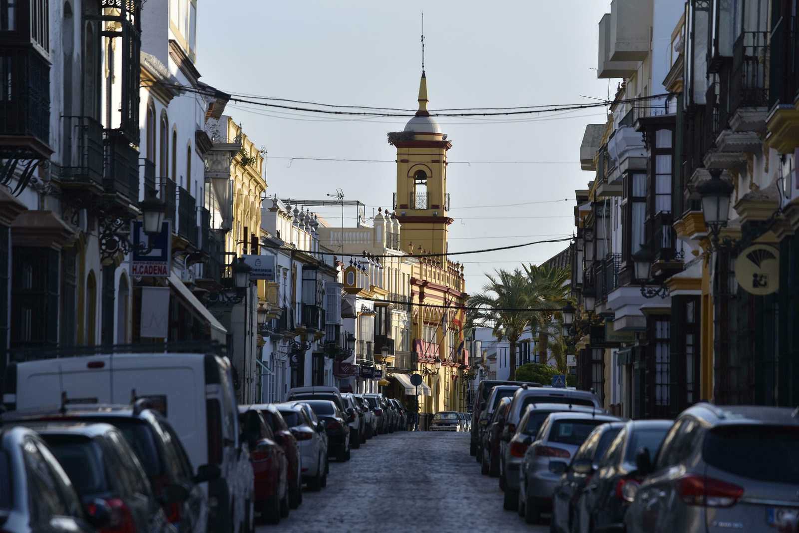 Arahal, en imágenes