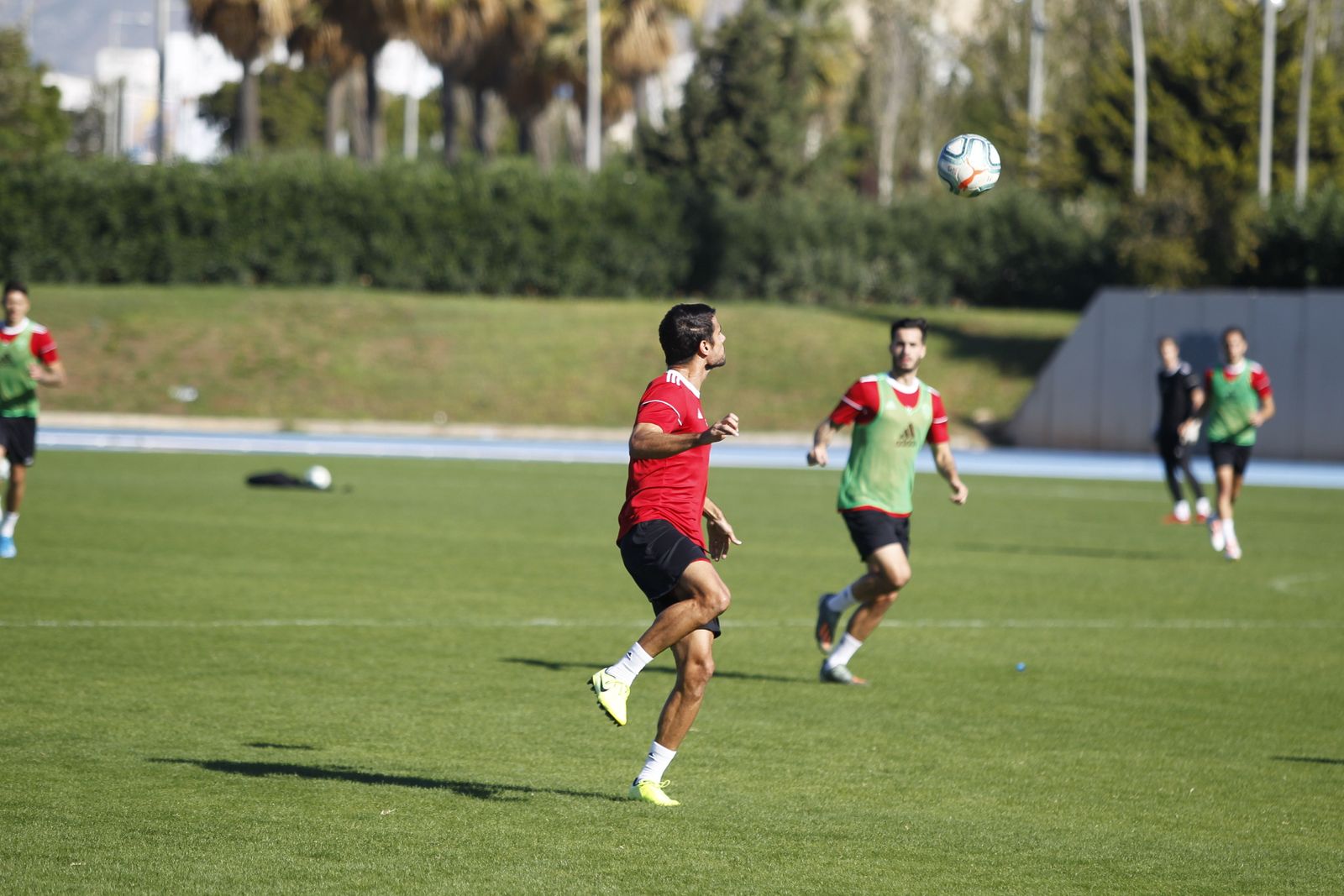 Fotogalería del entrenamiento del Almería 7-XI