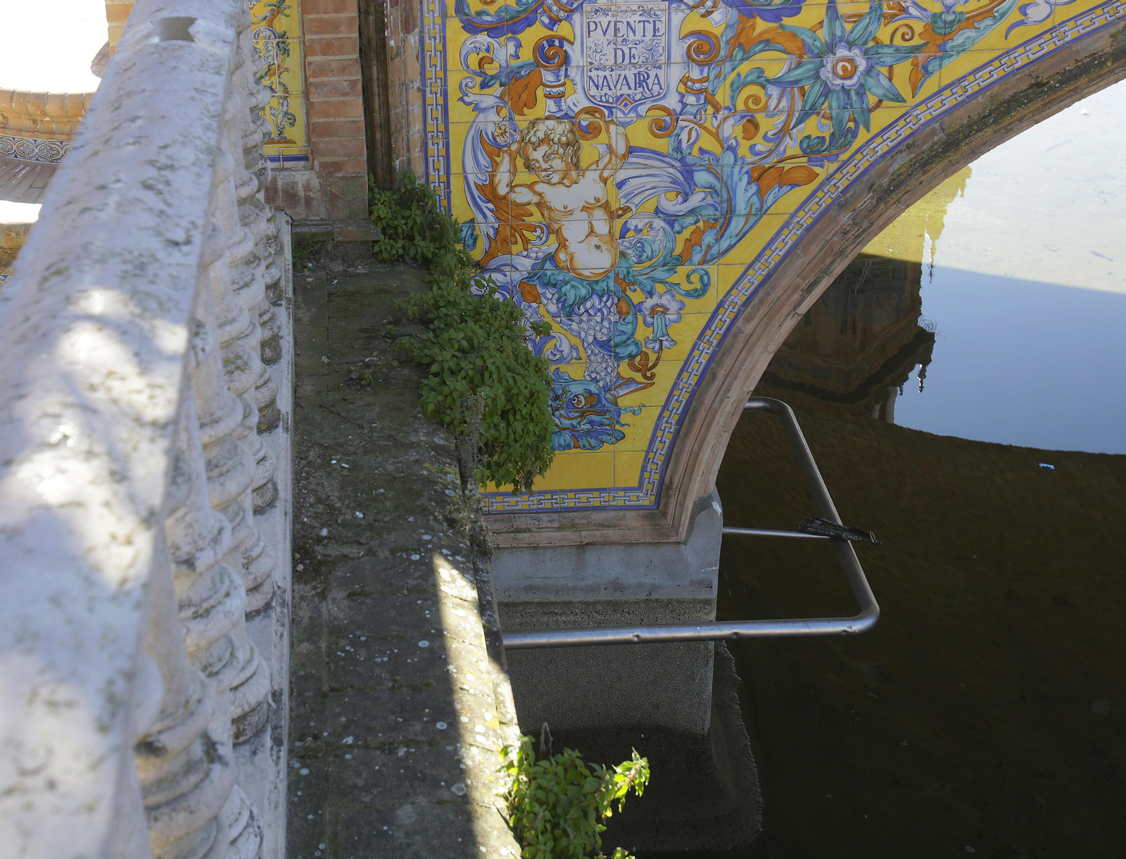 Mal estado de los arriates y plantas en la Plaza de España