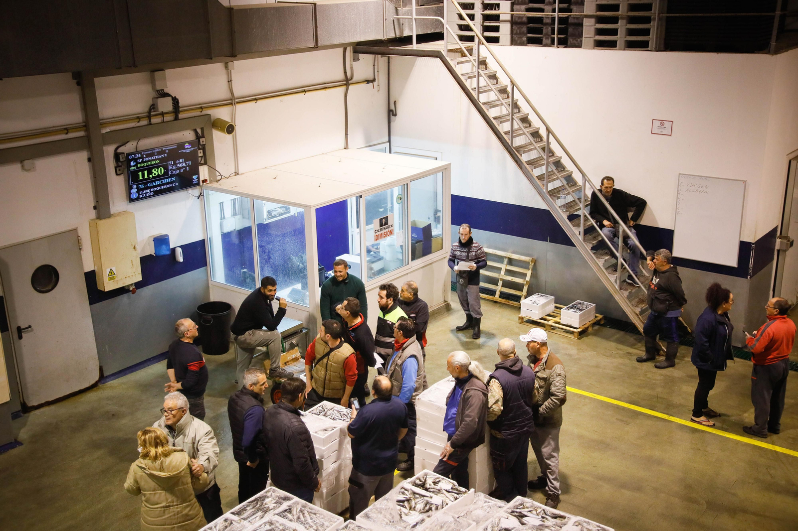 Te contamos en imágenes como ha sido la descarga de las traiñas en la lonja de Almería