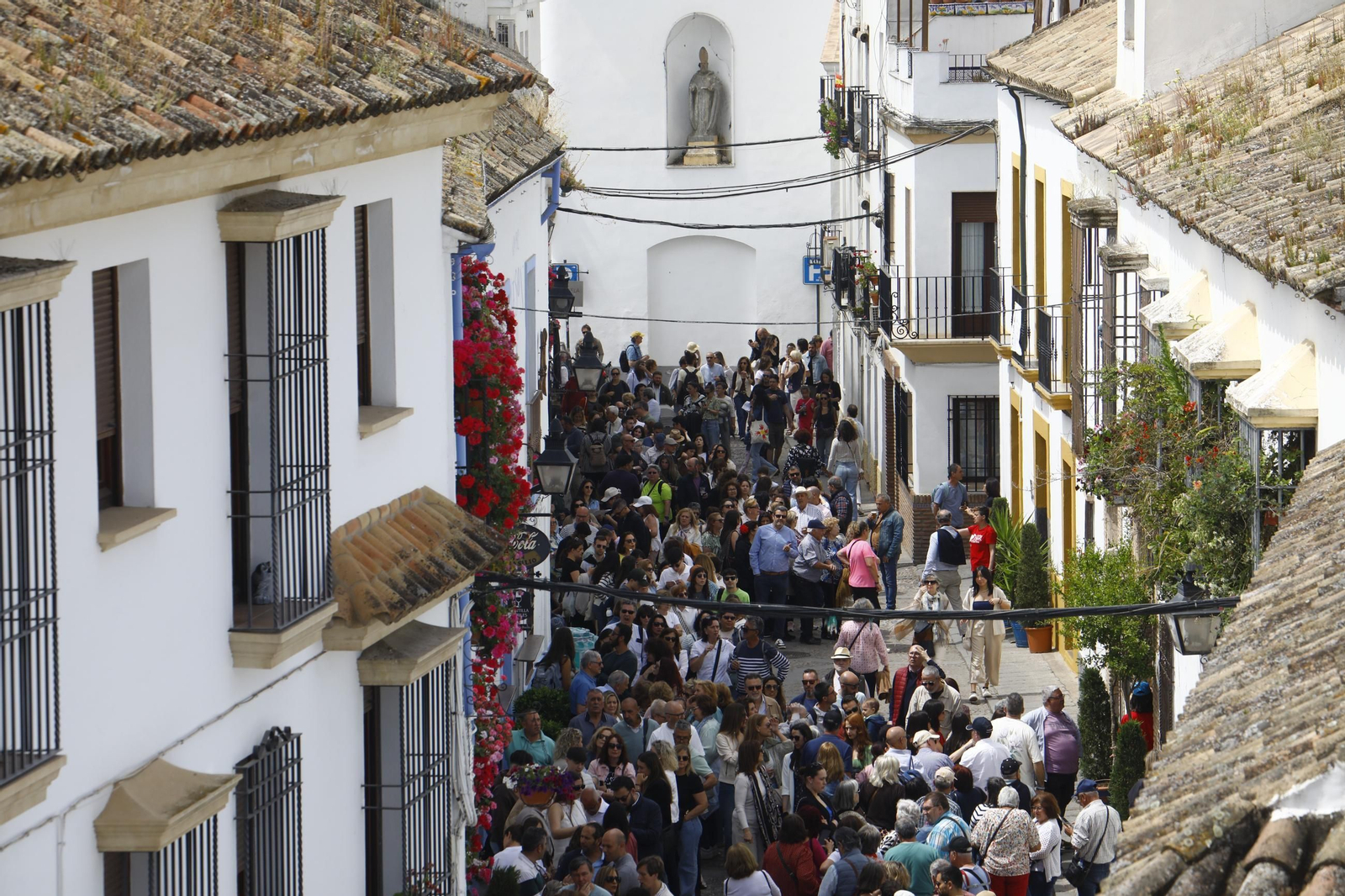 Colas e ilusión en el primer sábado de los Patios de Córdoba, en imágenes