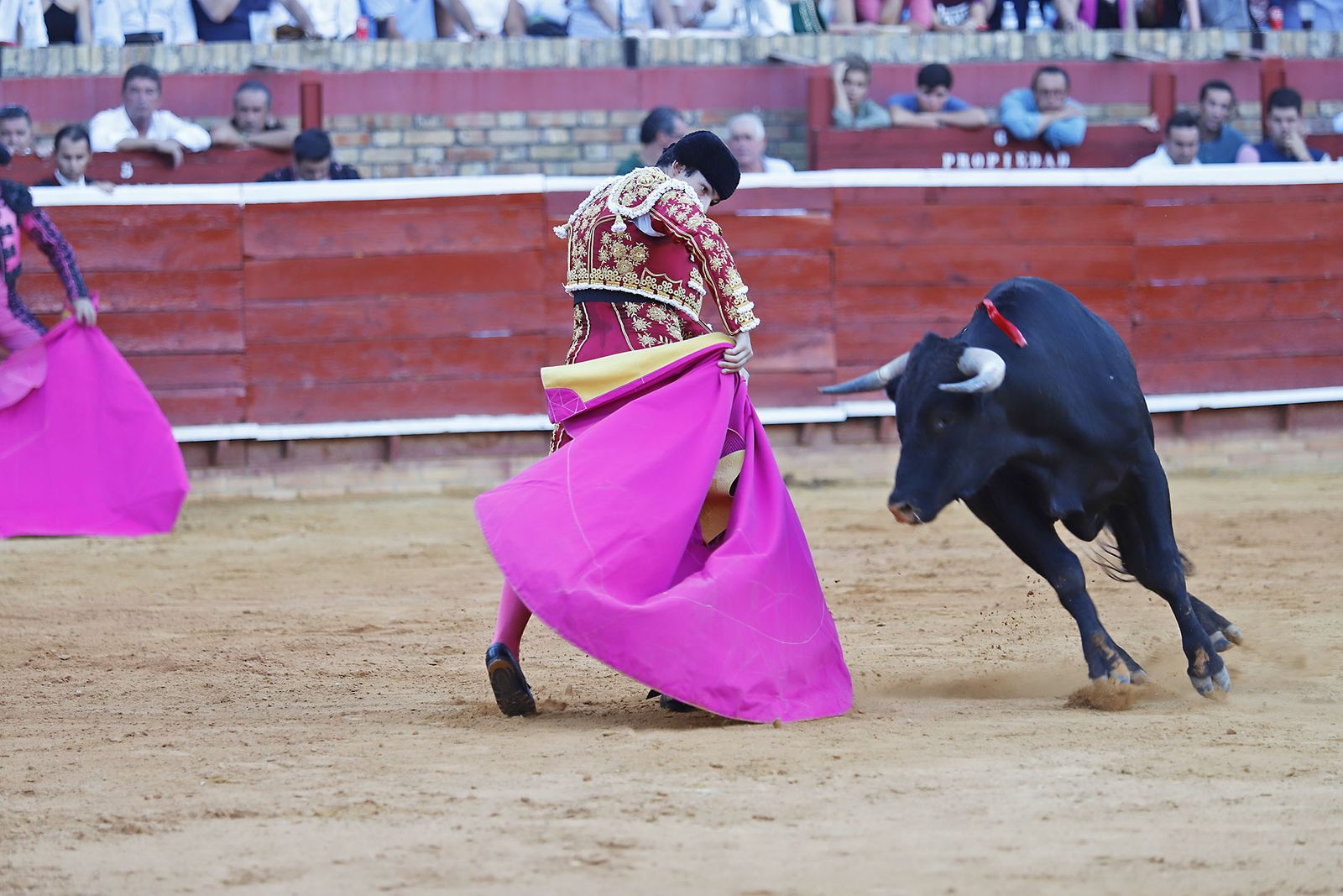 COLOMBINAS 2023: Festejo del miércoles de la Feria Taurina