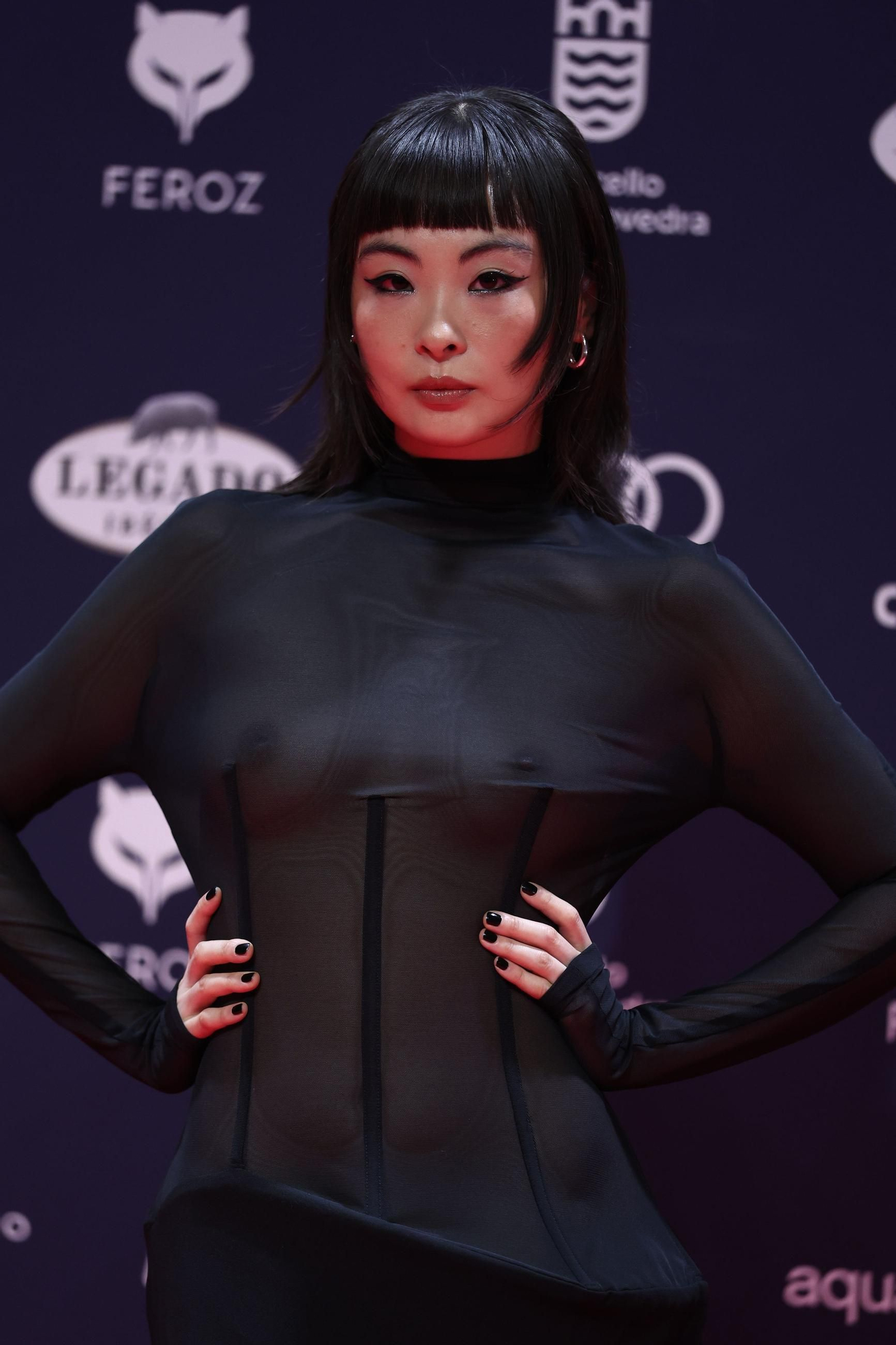 Las mejores imágenes de los Premios Feroz 2025