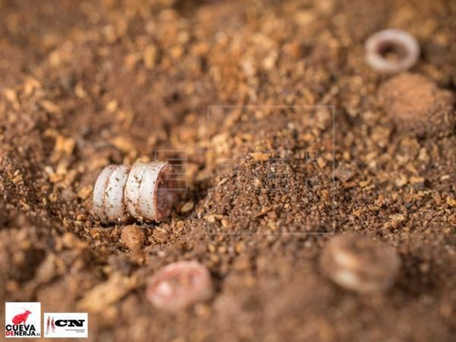 El ajuar funerario del Neolítico hallado en la Cueva de Nerja