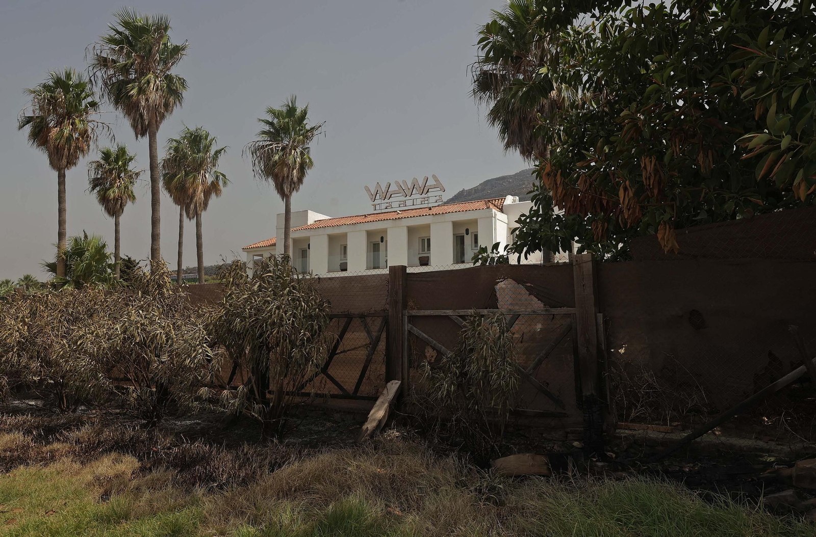 Fotos de los efectos del incendio en el monte de La Peña en Tarifa