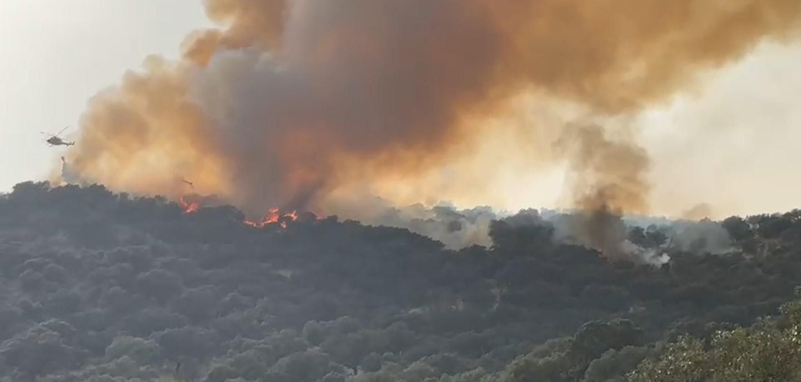 Incendio forestal de Villanueva del Rey de este pasado verano.