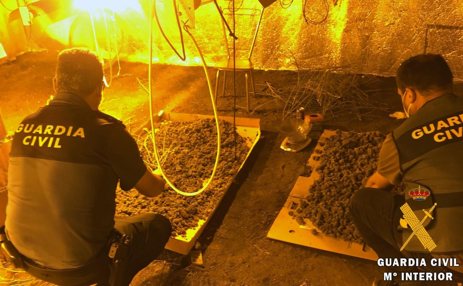 La Guardia Civil detiene en Tabernas a una mujer por cultivar marihuana en su vivienda