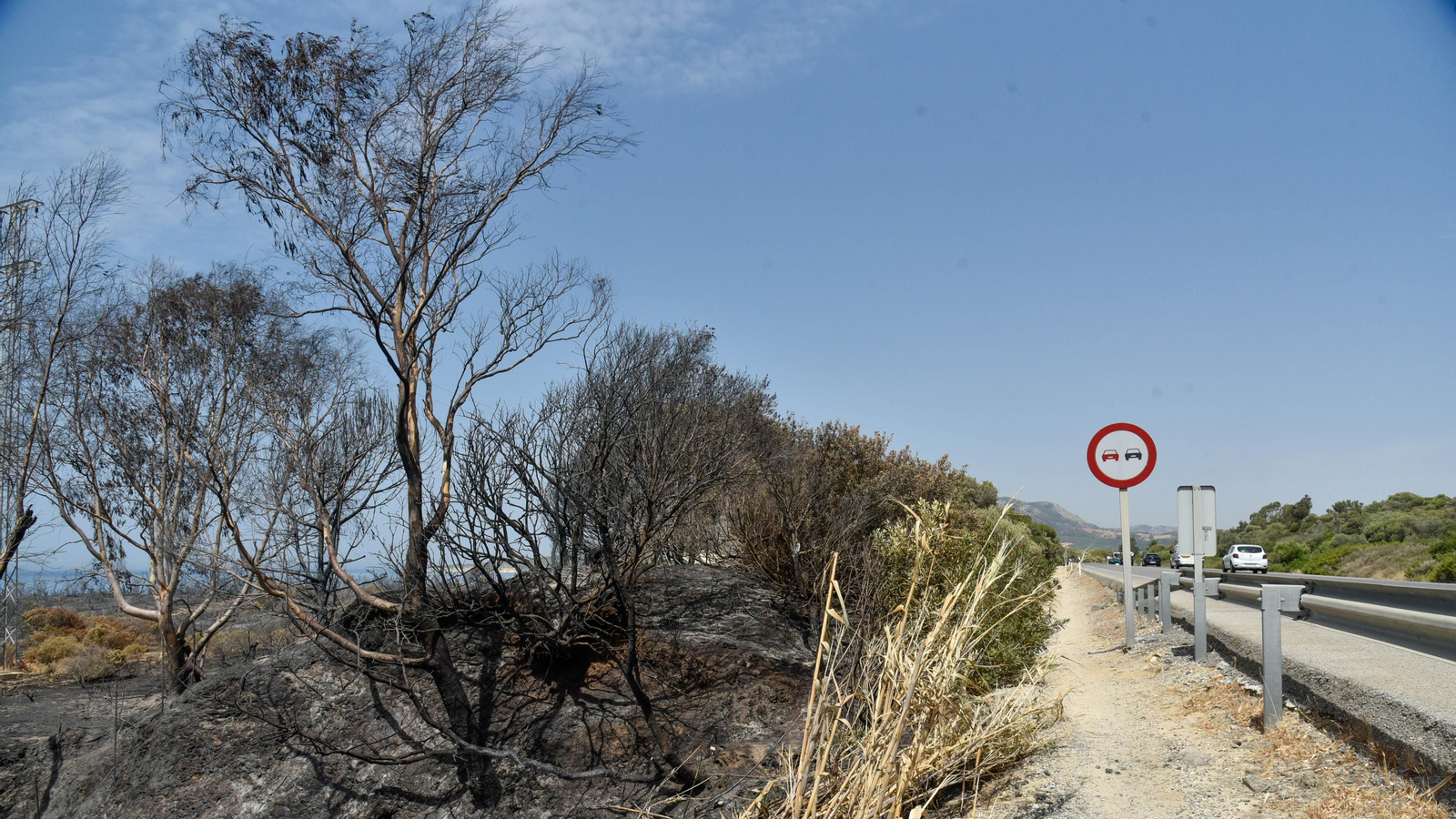 Fotos del incendio de Valdevaqueros que arrasó con 11 hectáreas de Parque Natural del Estrecho Las fotos de la zona afectada por el incendio de Valdevaqueros